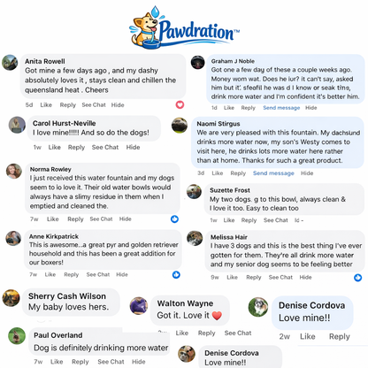 Pawdration™ - Give Your Dog a Longer, Healthier Life Through Better Hydration