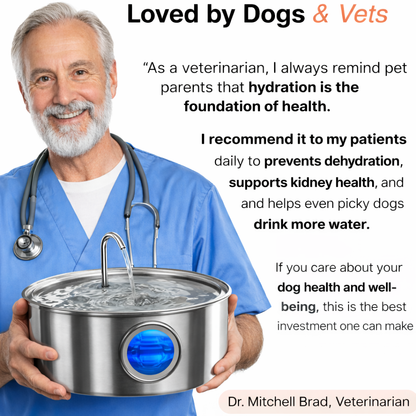 Pawdration™ - Give Your Dog a Longer, Healthier Life Through Better Hydration