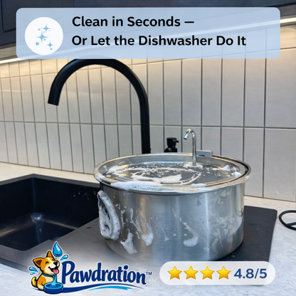 Pawdration™ - Give Your Dog a Longer, Healthier Life Through Better Hydration