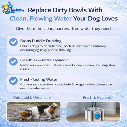 Pawdration™ - Give Your Dog a Longer, Healthier Life Through Better Hydration
