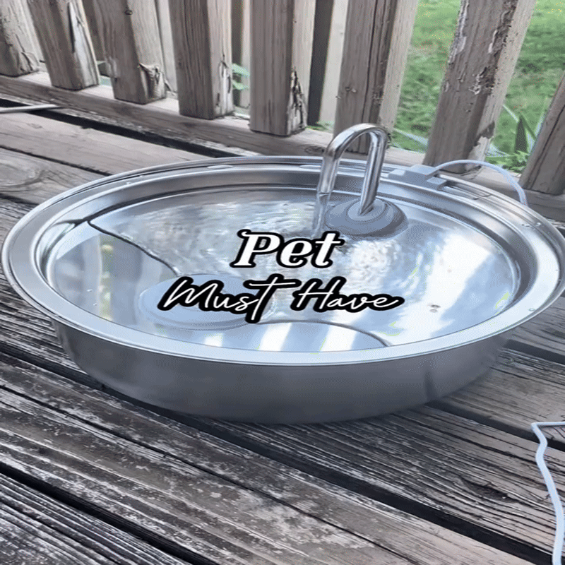 Pawdration™ - Give Your Dog a Longer, Healthier Life Through Better Hydration